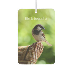 Kauai Hawaii Bird (my photography) Car Air Freshener