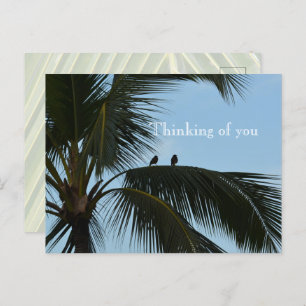 Kauai Hawaii Birds in Palm Tree Postcard