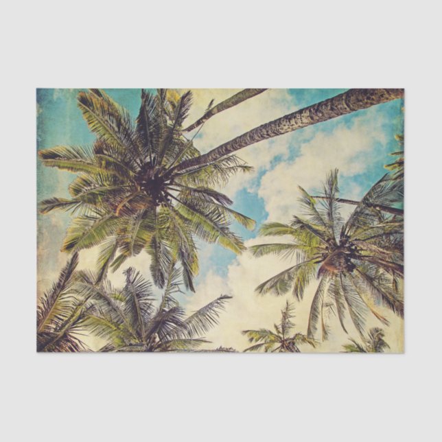 Kauai Hawaii Coco Palm Tree Tissue Paper (Front)