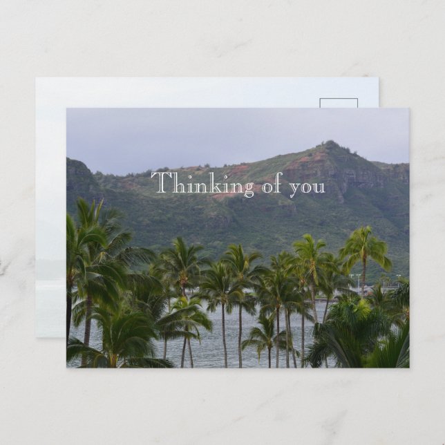 Kauai Hawaii Lihue Palm Trees Kalapaki Beach Postcard (Front/Back)