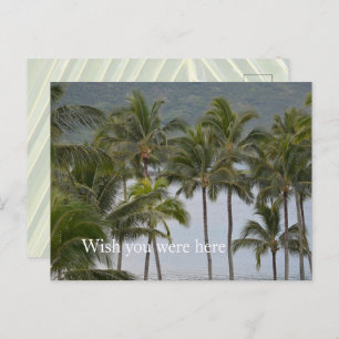 Kauai Hawaii Lihue Palm Trees Ocean Postcard