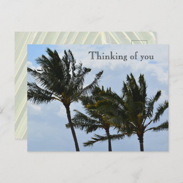 Kauai Hawaii Palm Trees Postcard (Front/Back)