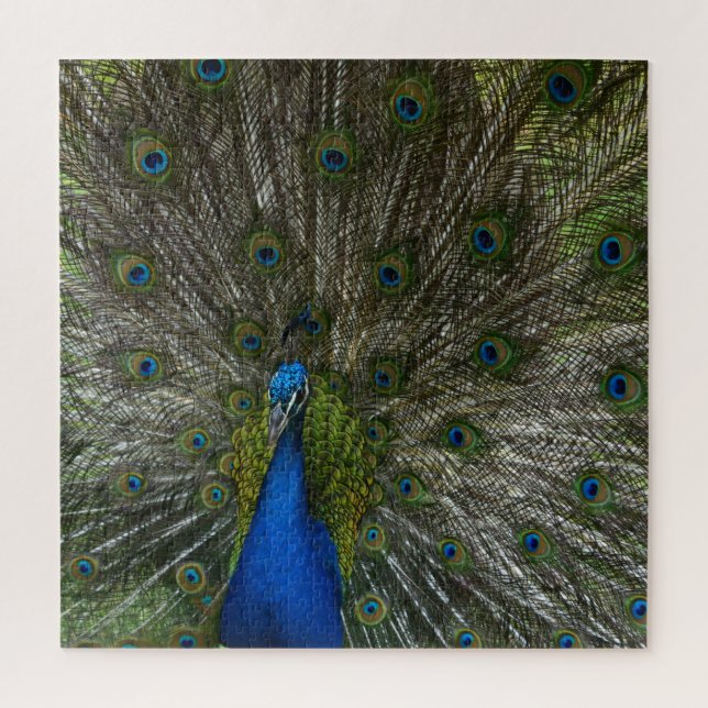 Kauai Hawaii Peacock Feathers Jigsaw Puzzle (Vertical)