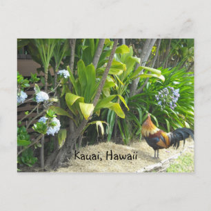 Kauai, Hawaii Postcard