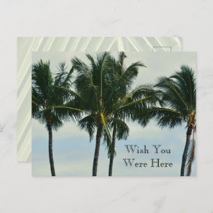 Kauai Hawaii Tropical Palm Trees Postcard