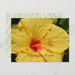 Kauai Hawaii Yellow Hibiscus Flower Postcard