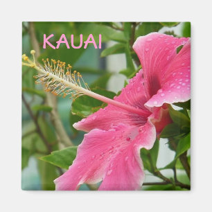 Kauai Hawaiian Tropical Flowers Hibiscus Magnet