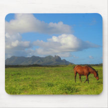 Kauai Horse Vista