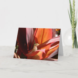 Kauai Lizard Card