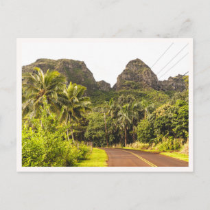 Kauai Mountains Tropical Jungle Road Hawaii Photo Postcard