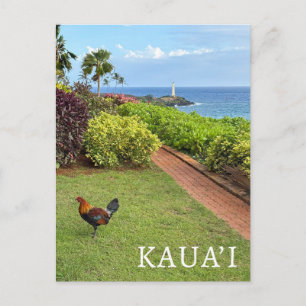 Kauai Ninini Point Lighthouse Hawaii Postcard