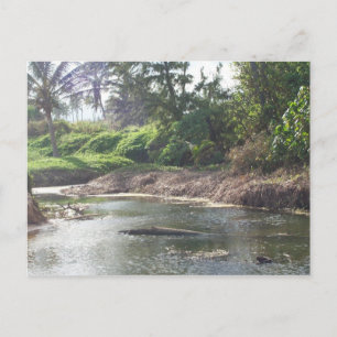 Kauai Paradise Postcard