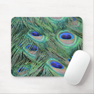 Kauai Peacock Feathers Mouse Pad