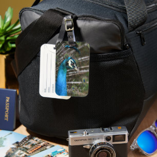 Kauai Peacock Luggage Tag