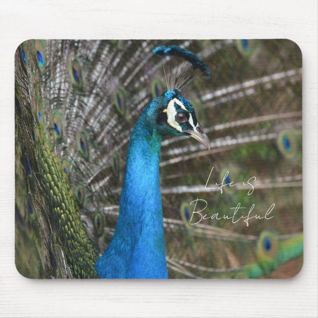 Kauai Peacock  Mouse Pad (Front)