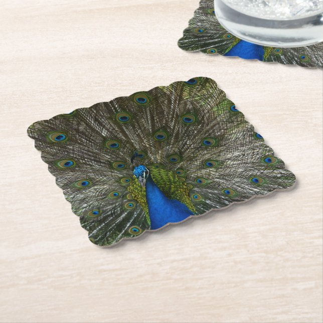Kauai Peacock Paper Coaster (Angled)