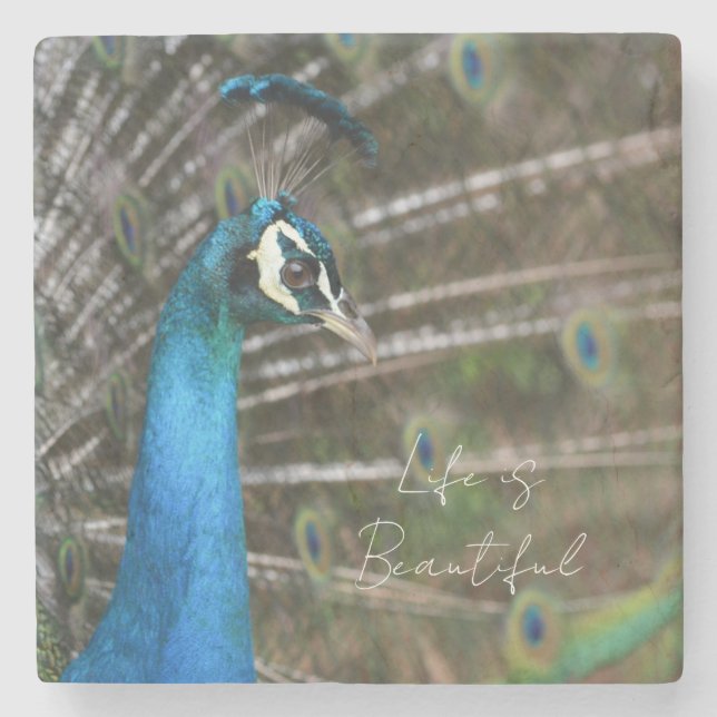 Kauai Peacock  Stone Coaster (Front)