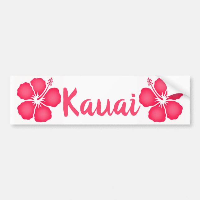 Kauai Pink Hibiscus Bumper Sticker (Front)