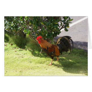 Kauai Rooster Card