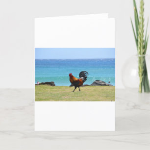 Kauai rooster card
