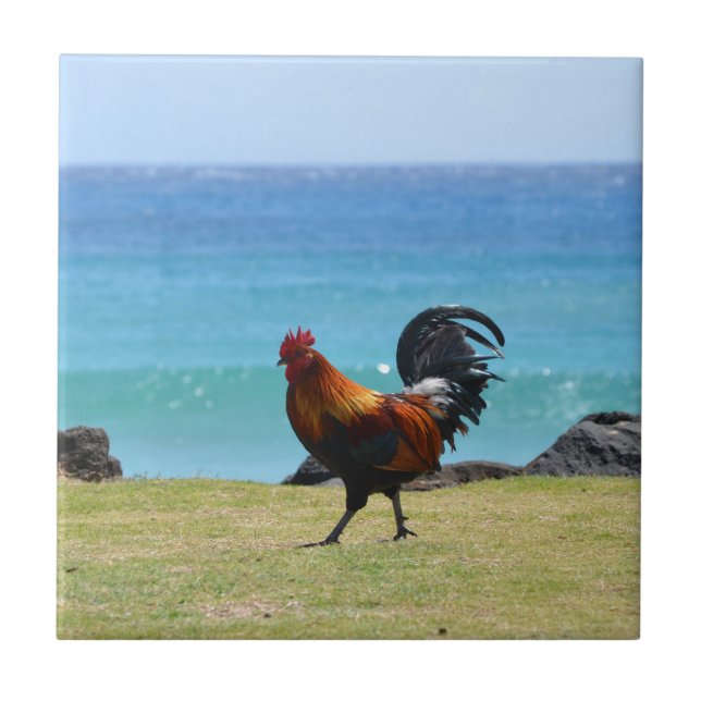 Kauai rooster ceramic tile (Front)