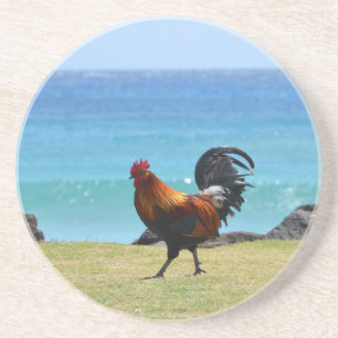 Kauai rooster coaster