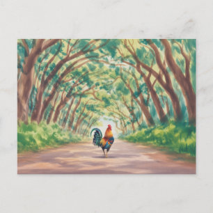 Kauai  Rooster walking towards tree tunnel Postcard
