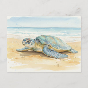 Kauai Sea Turtles Resting at the Beach Postcard
