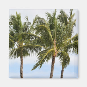 Kauai Tropical Palm trees Magnet