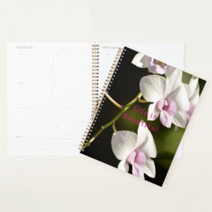 Kauai White Pink Orchids (photo taken by me) Planner