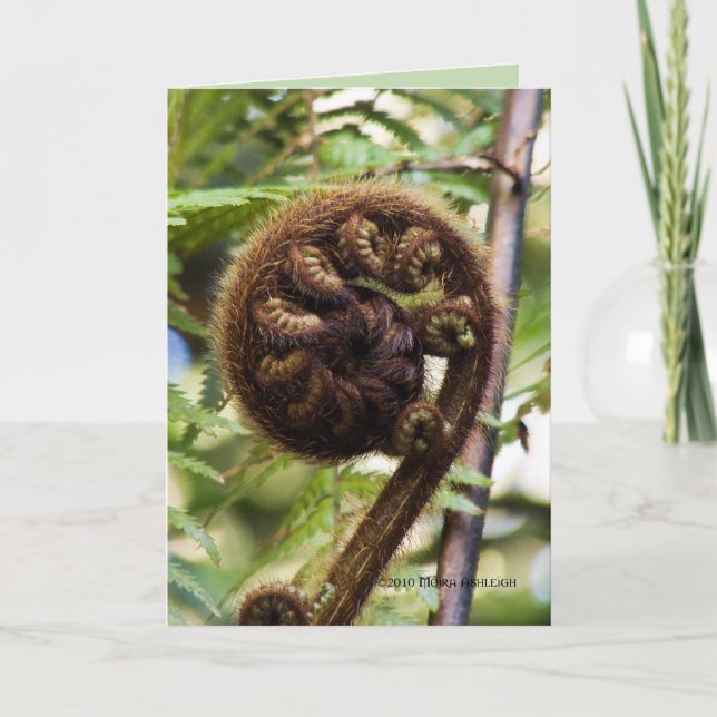 Kauri Forest Fern Card (Front)