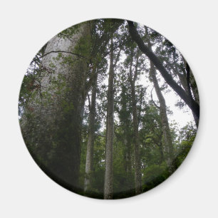Kauri Forest Magnet