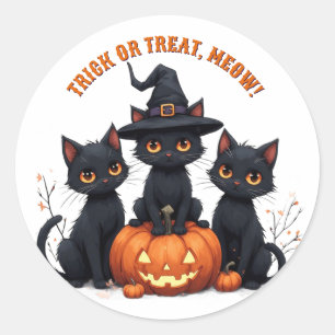 Kawaii Black Cats In Pumpkin Patch Halloween 🎃 Classic Round Sticker