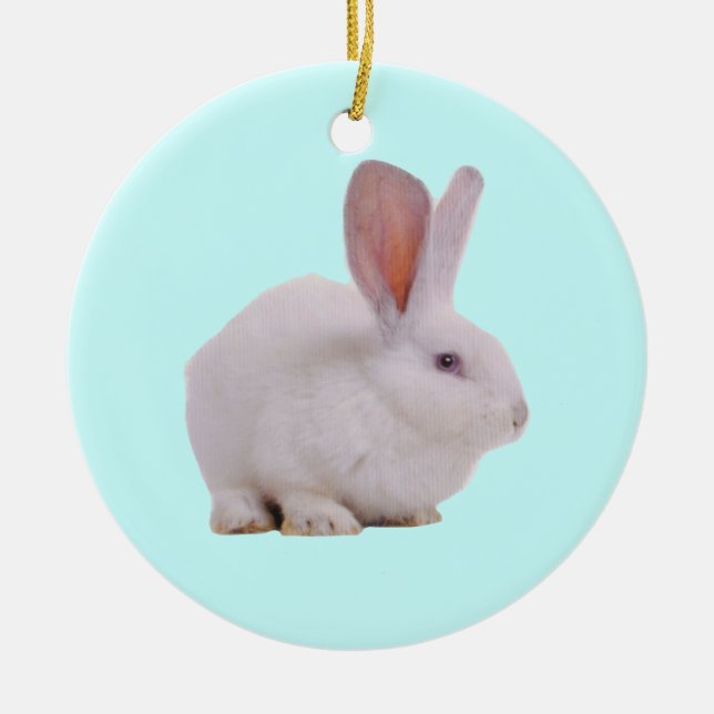 Kawaii Cute Bunny Rabbit Ceramic Tree Decoration (Front)