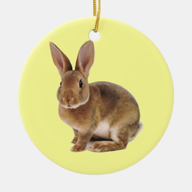 Kawaii Cute Bunny Rabbit Ceramic Tree Decoration (Front)