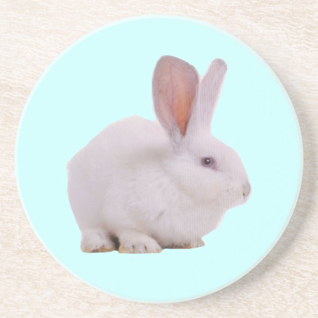 Kawaii Cute Bunny Rabbit Coaster (Front)