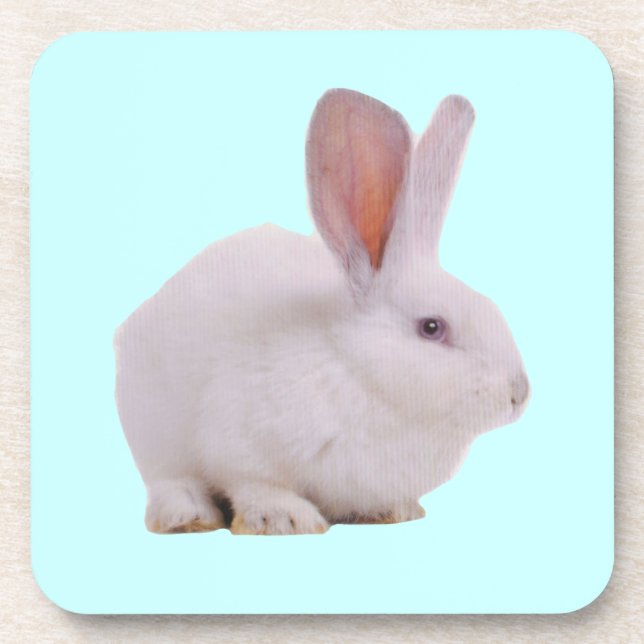 Kawaii Cute Bunny Rabbit Coaster (Front)