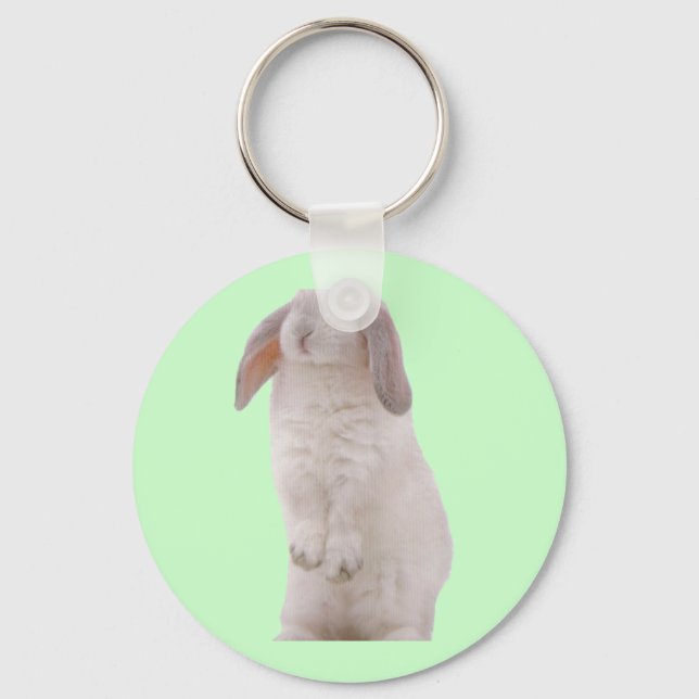Kawaii Cute Bunny Rabbit Key Ring (Front)