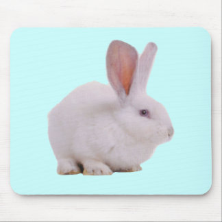 Kawaii Cute Bunny Rabbit Mouse Pad
