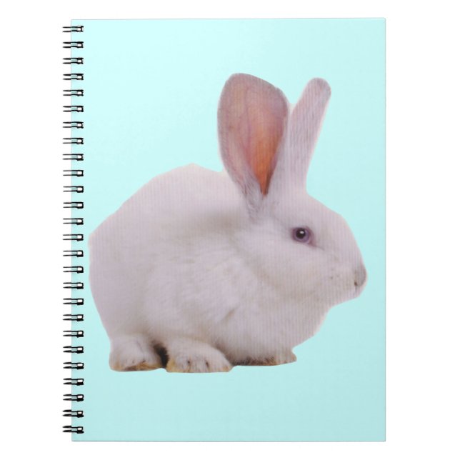 Kawaii Cute Bunny Rabbit Notebook (Front)