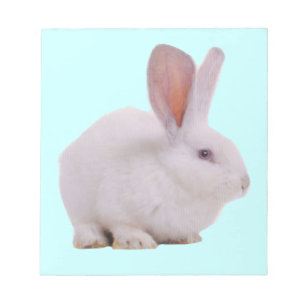 Kawaii Cute Bunny Rabbit Notepad
