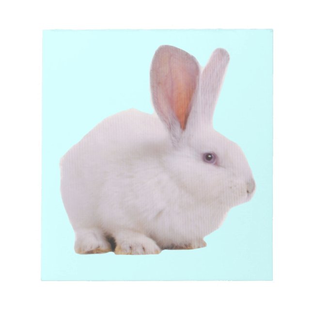 Kawaii Cute Bunny Rabbit Notepad (Front)