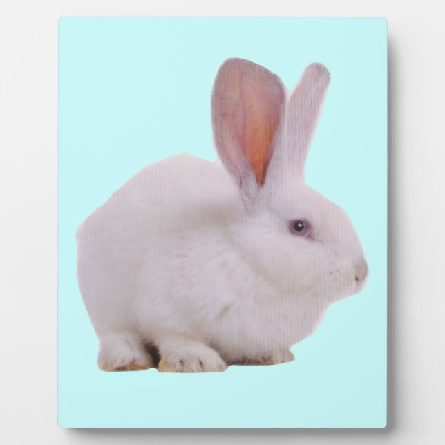 Kawaii Cute Bunny Rabbit Plaque (Front)