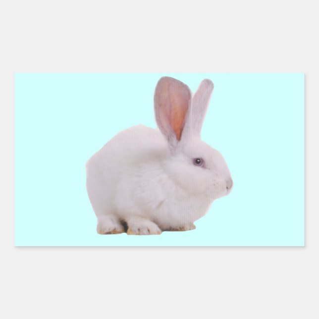 Kawaii Cute Bunny Rabbit Rectangular Sticker (Front)