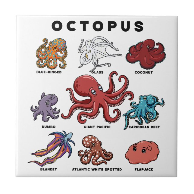 Kawaii Octopus of the Worlds Ceramic Tile (Front)
