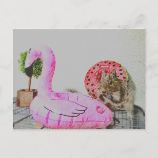 Kawaii ♡small animal postcard
