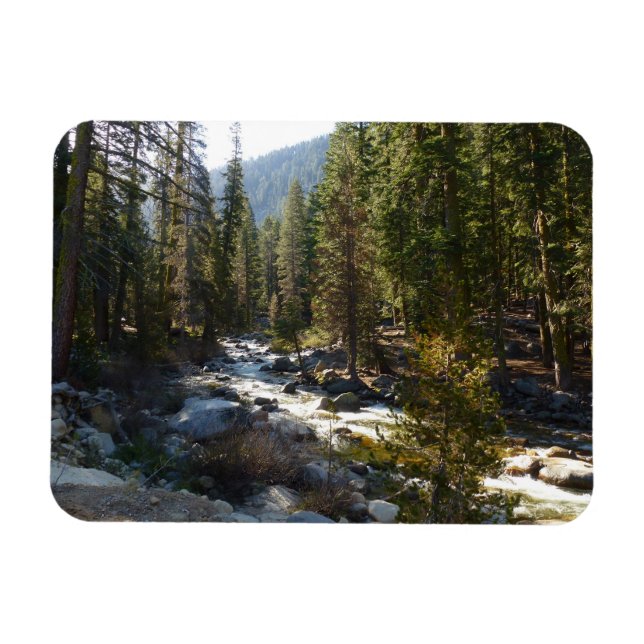 Kaweah River in Sequoia National Park Magnet (Horizontal)