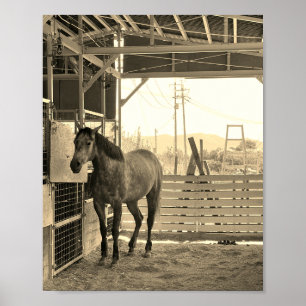 Kay Mei Ranch Glamor Chan Just Like a Thing Poster