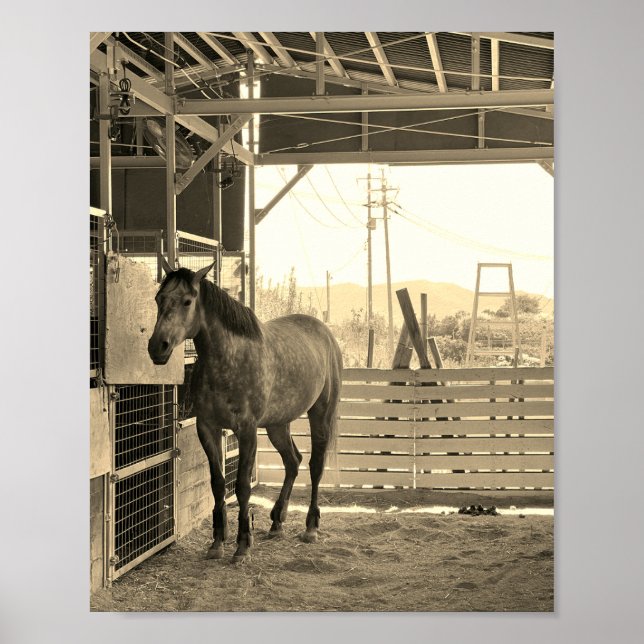 Kay Mei Ranch Glamor Chan Just Like a Thing Poster (Front)