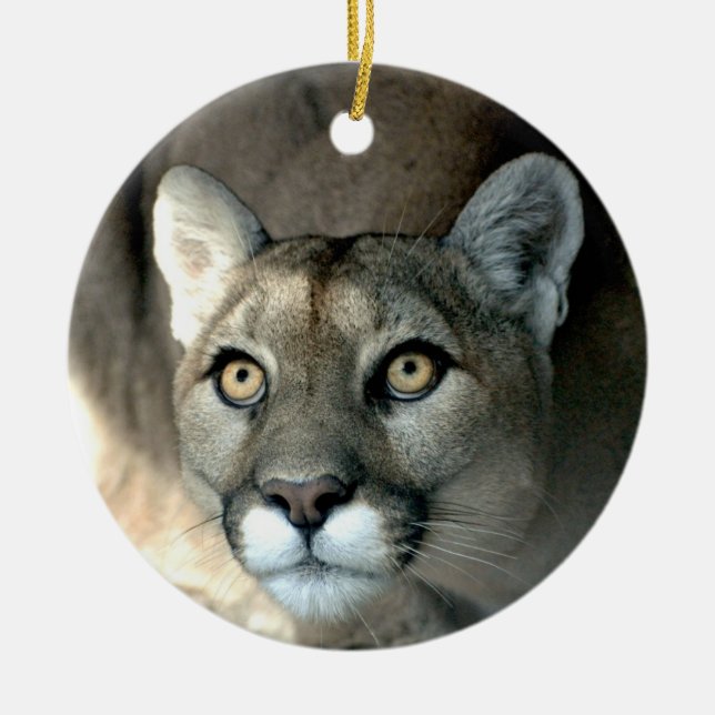 Kaya Ornament 2012 (Front)